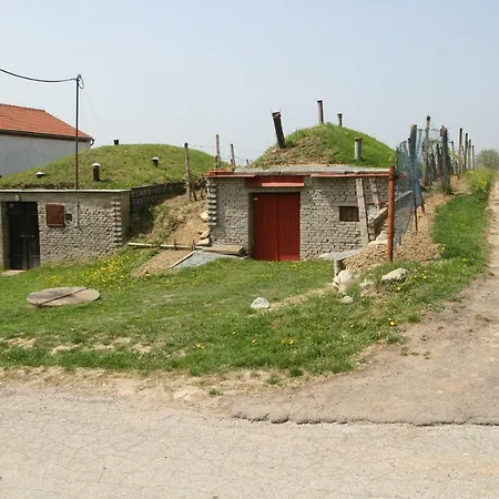 بيت للعطل Sklep Purynky Velké Bílovice